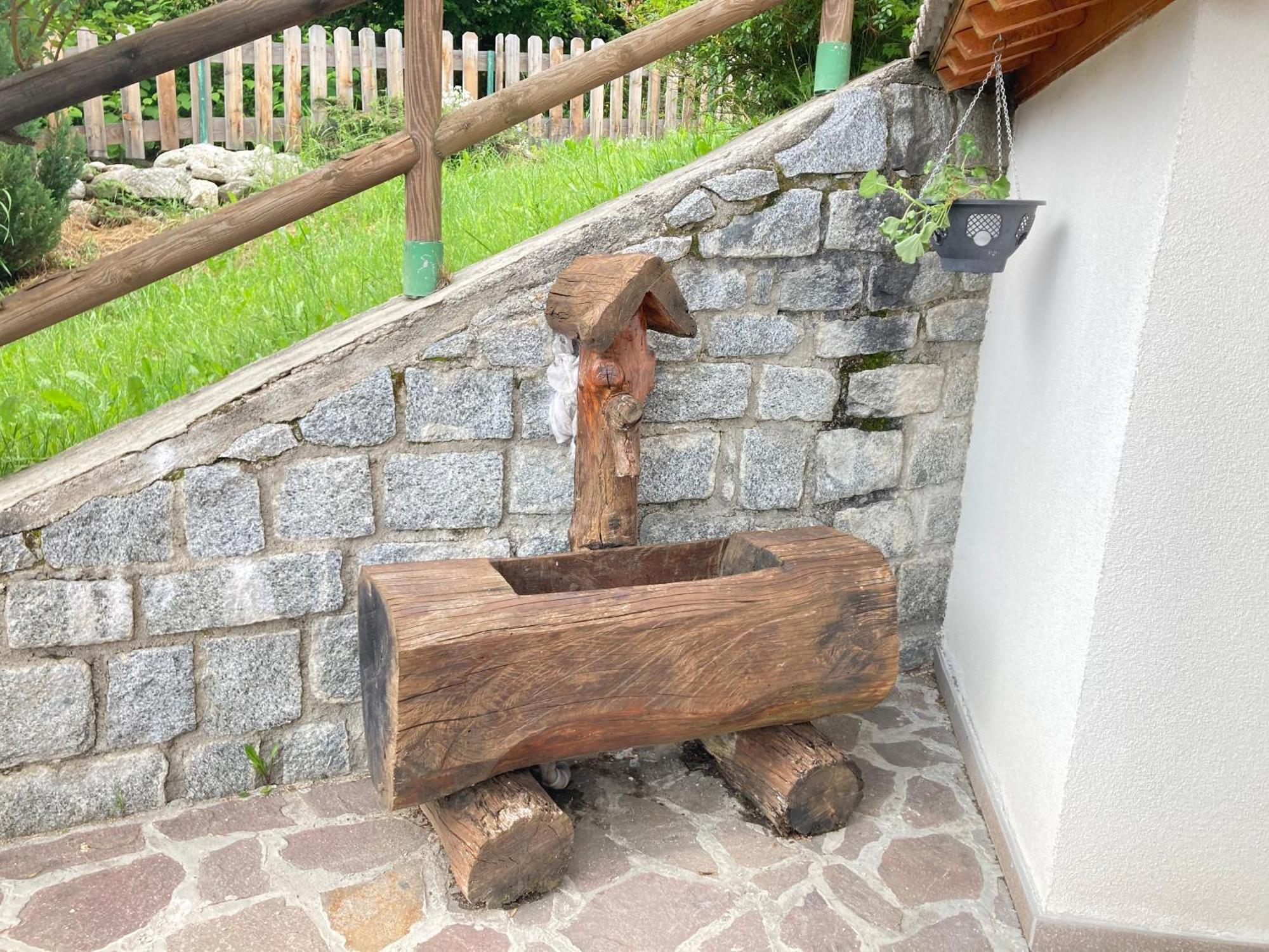 Adamello Brenta Sunshine Appartamento *