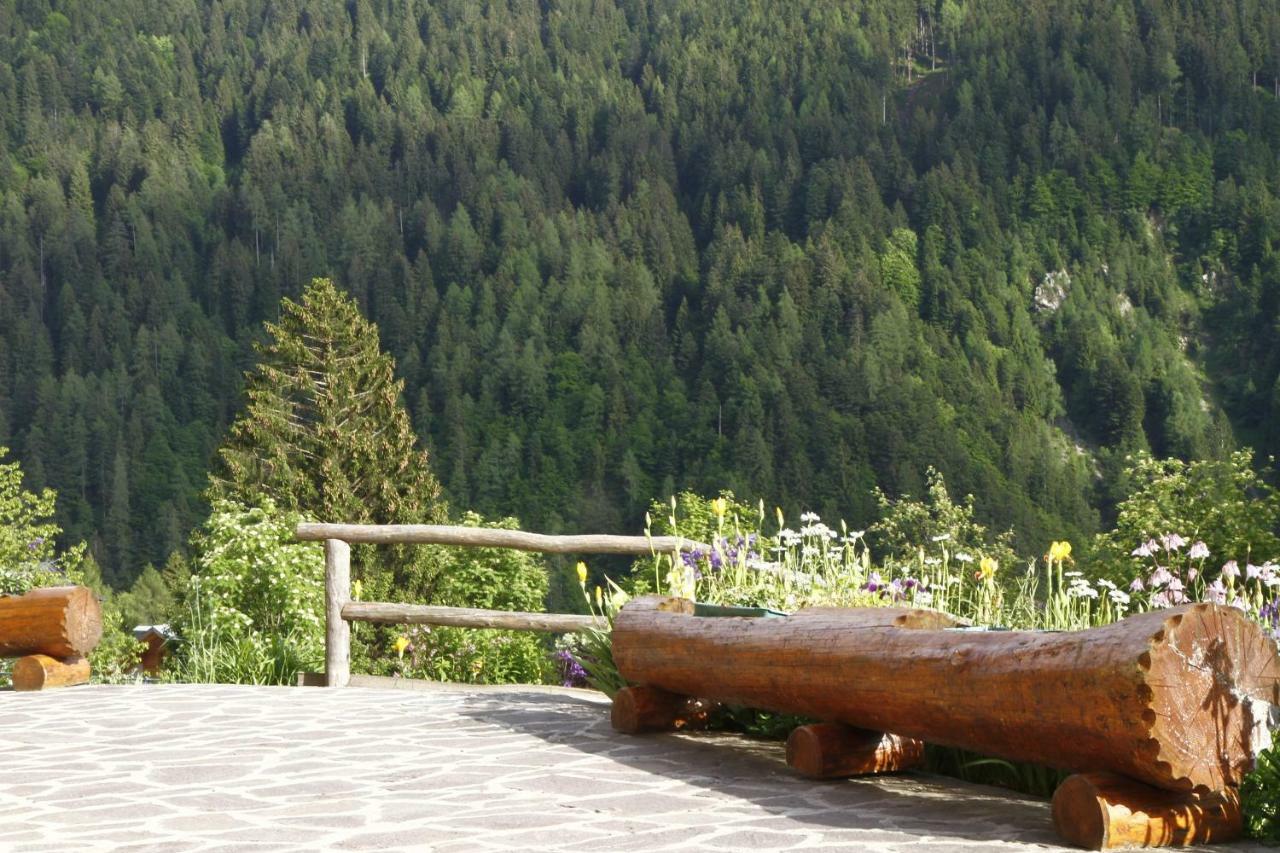Appartamento Adamello Brenta Sunshine